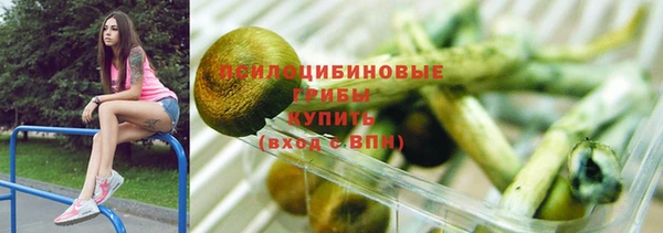 прущие грибы Кукмор