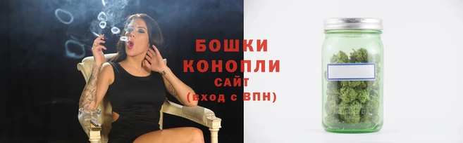 прущие грибы Кукмор